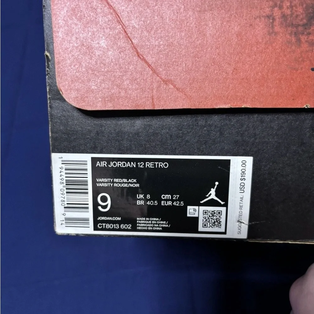 Jordan 12 Retro Reverse Flu Game 2020 Size 9